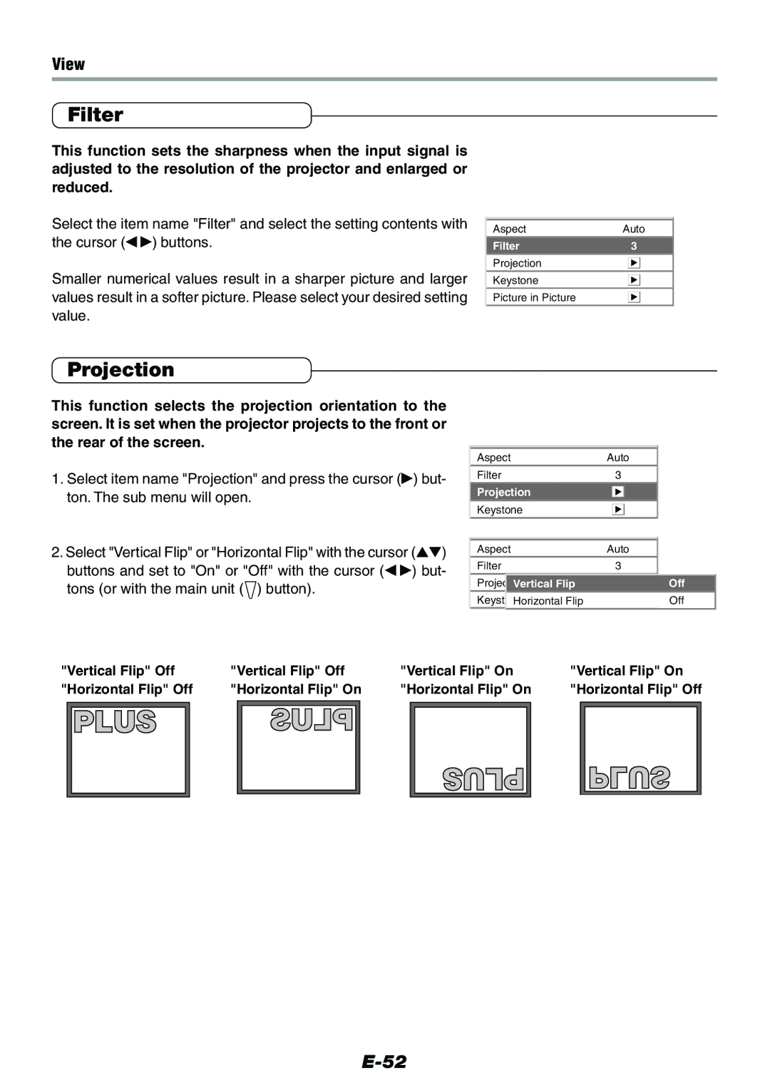 Epson V-1100 user manual Filter, Projection, View 