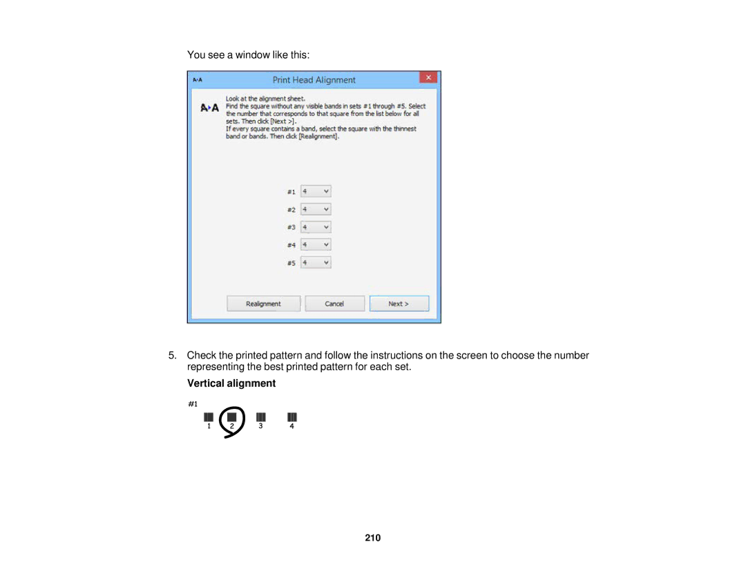 Epson WF-2650 manual Vertical alignment 