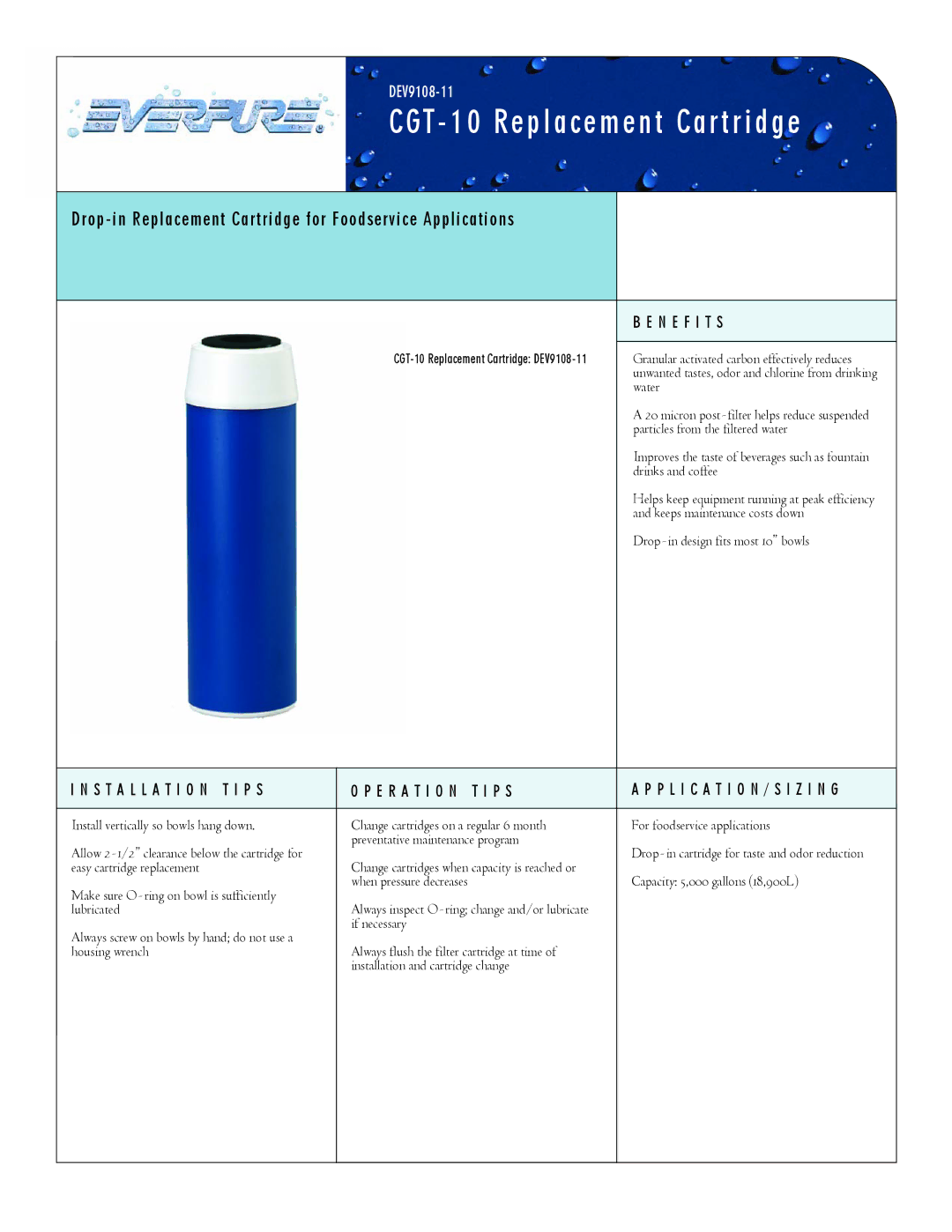 Everpure CGT-10 manual CGT 10 Replacement Cartridge, Drop-in Replacement Cartridge for Foodservice Applications 