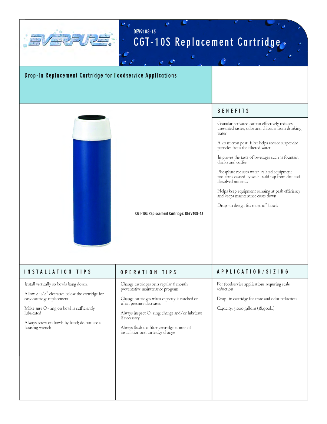 Everpure CGT-10S manual CGT 10S Replacement Cartridge, Drop-in Replacement Cartridge for Foodservice Applications 