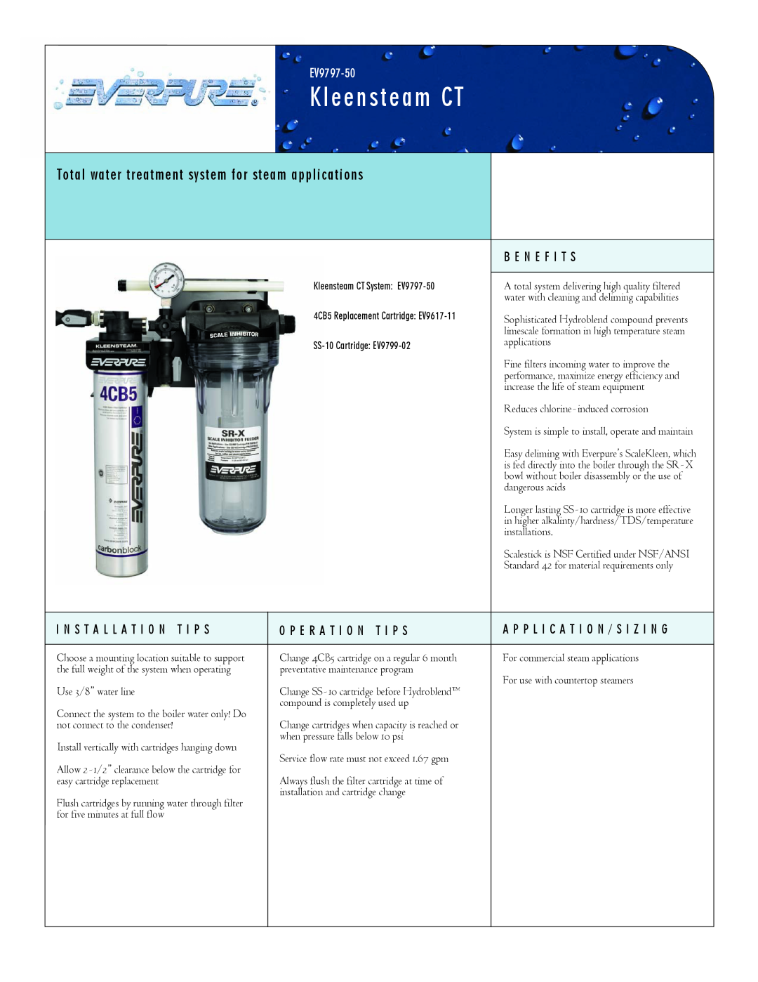 Everpure EV9797-50, EV9799-02 manual Kleensteam CT, Total water treatment system for steam applications 