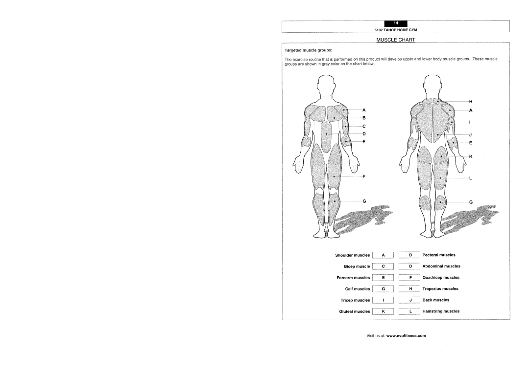 Evo Fitness 5102 manual 