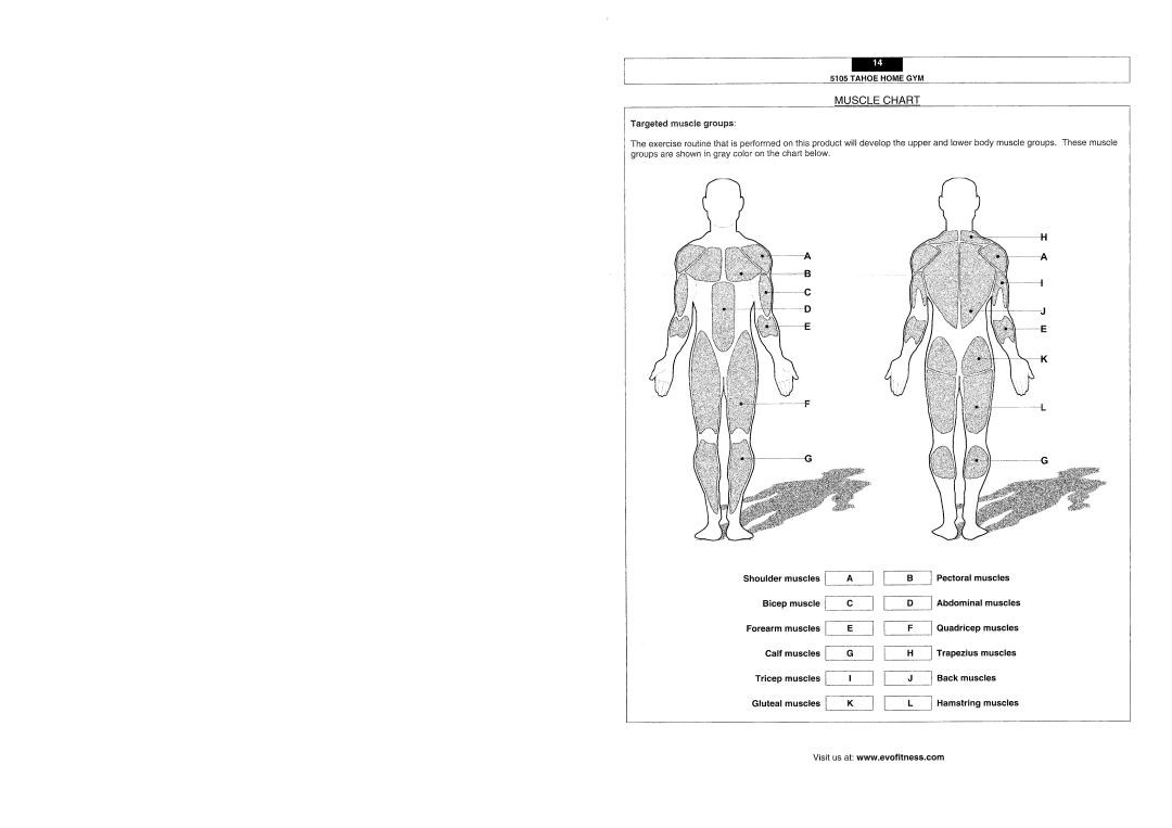 Evo Fitness 5105 manual 