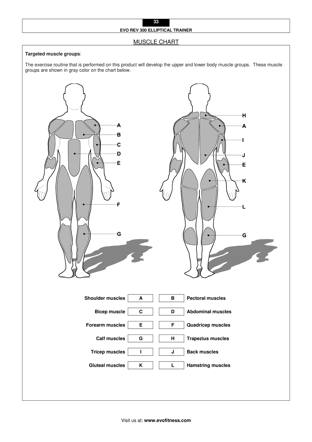 Evo Fitness Rev 300 user manual Muscle Chart, Targeted muscle groups 