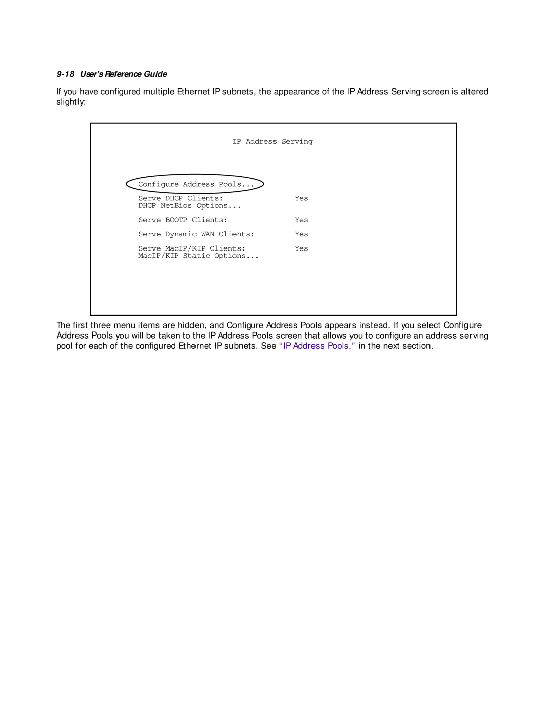 Farallon Communications R9100 manual Dhcp NetBios Options Serve Bootp Clients 