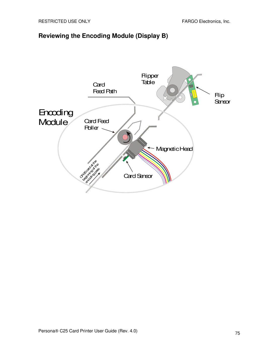 FARGO electronic S000256 manual Reviewing the Encoding Module Display B 