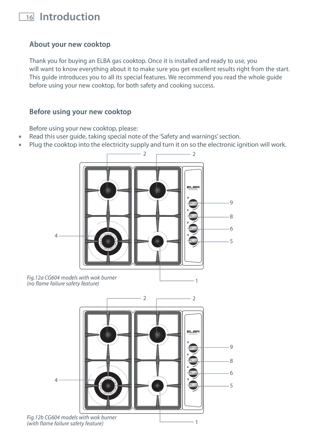 Fisher & Paykel CG604, CG905 installation instructions Introduction, About your new cooktop, Before using your new cooktop 