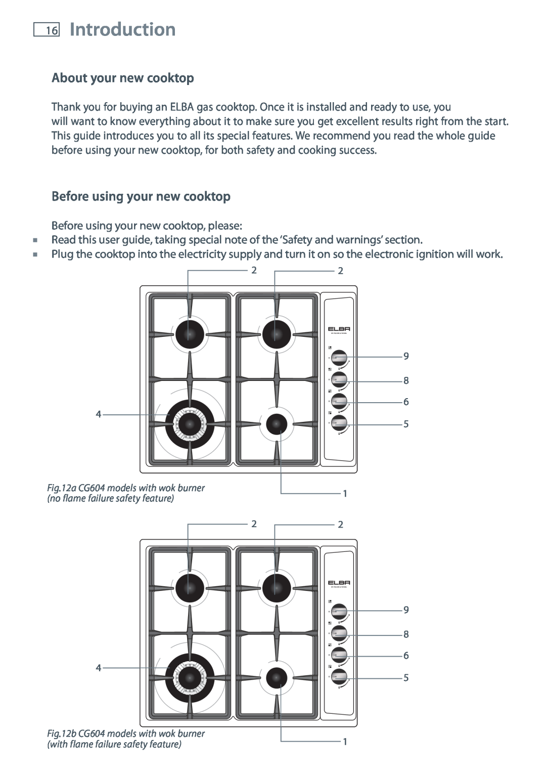 Fisher & Paykel CG905 installation instructions Introduction, About your new cooktop, Before using your new cooktop 