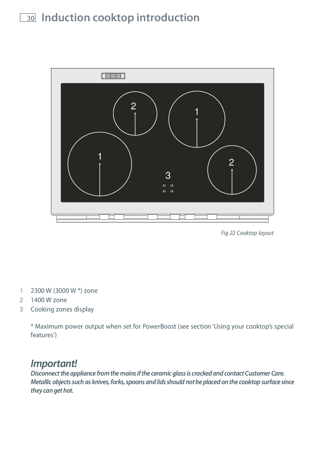 Fisher & Paykel OR90SBDSIX installation instructions Induction cooktop introduction 