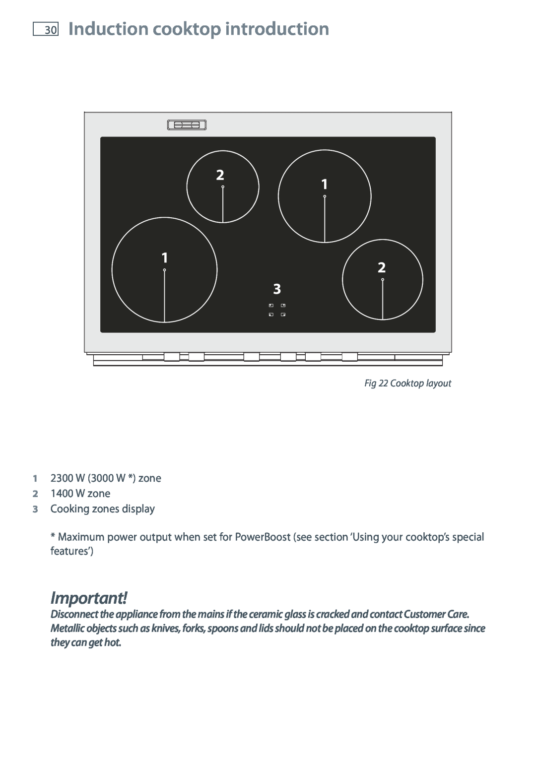Fisher & Paykel OR90SBDSIX Induction cooktop introduction, 1 2300 W 3000 W * zone 2 1400 W zone 3 Cooking zones display 