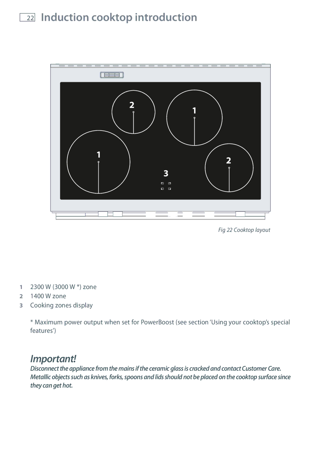 Fisher & Paykel OR90SDBSI installation instructions Induction cooktop introduction 