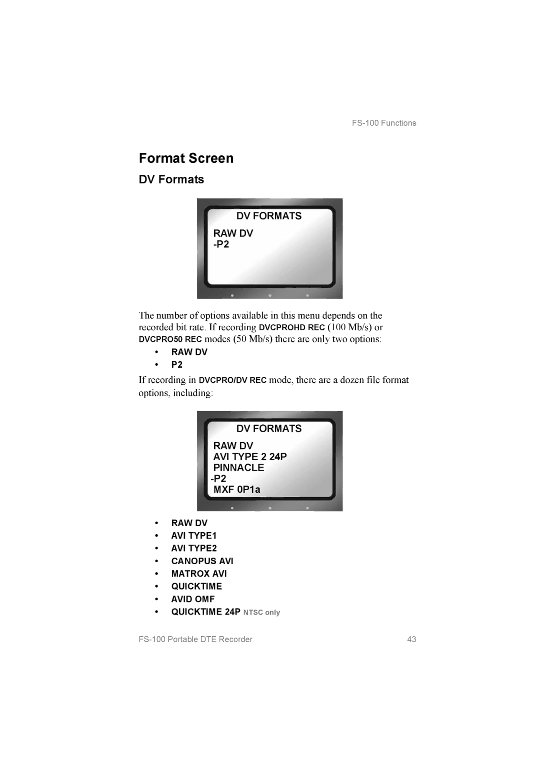 FOCUS Enhancements FS100 manual Format Screen, DV Formats RAW DV ­P2, DV Formats RAW DV AVI Type 2 24P Pinnacle ­P2 