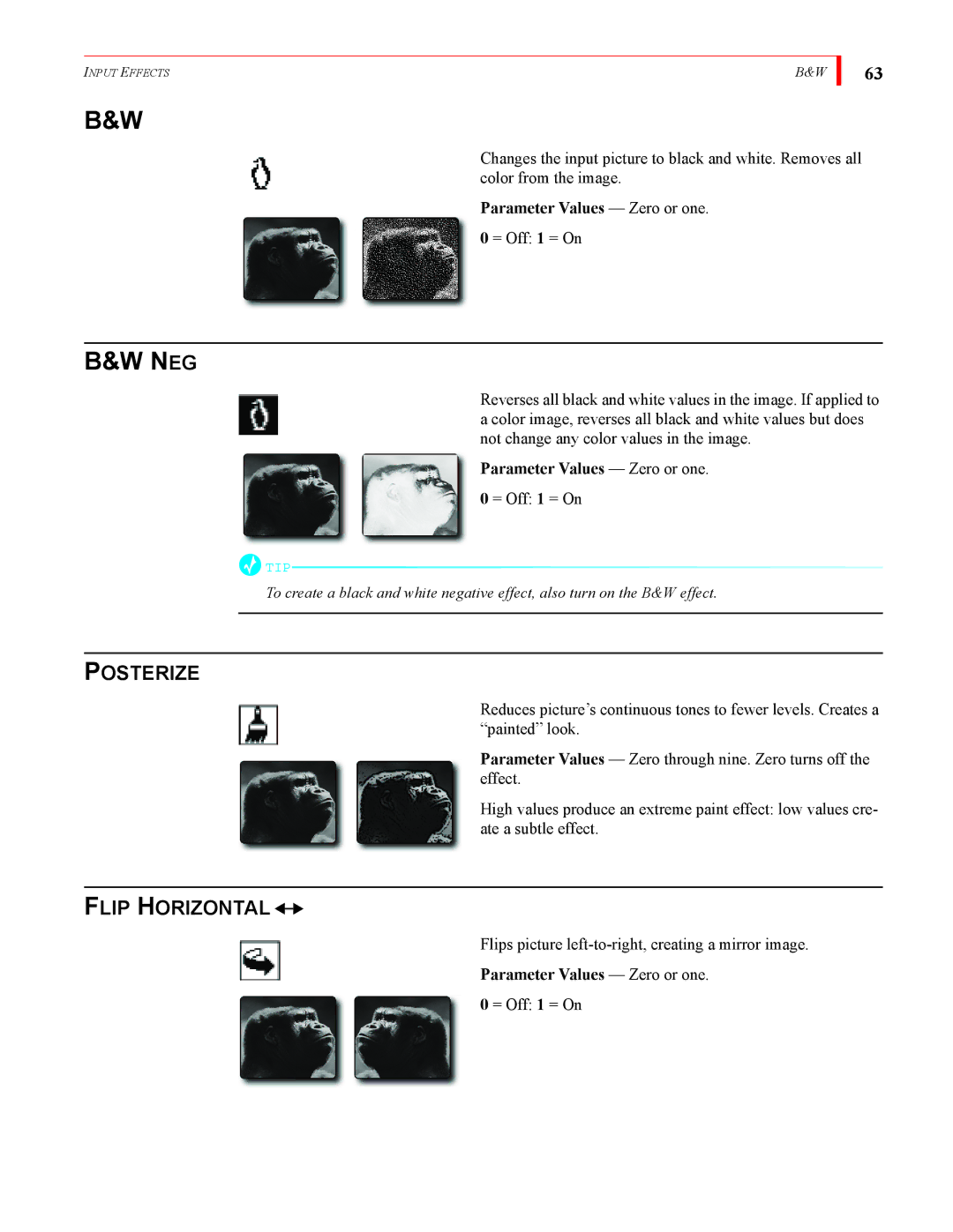 FOCUS Enhancements MX-4DV manual Posterize, Flip Horizontal, Parameter Values Zero or one 