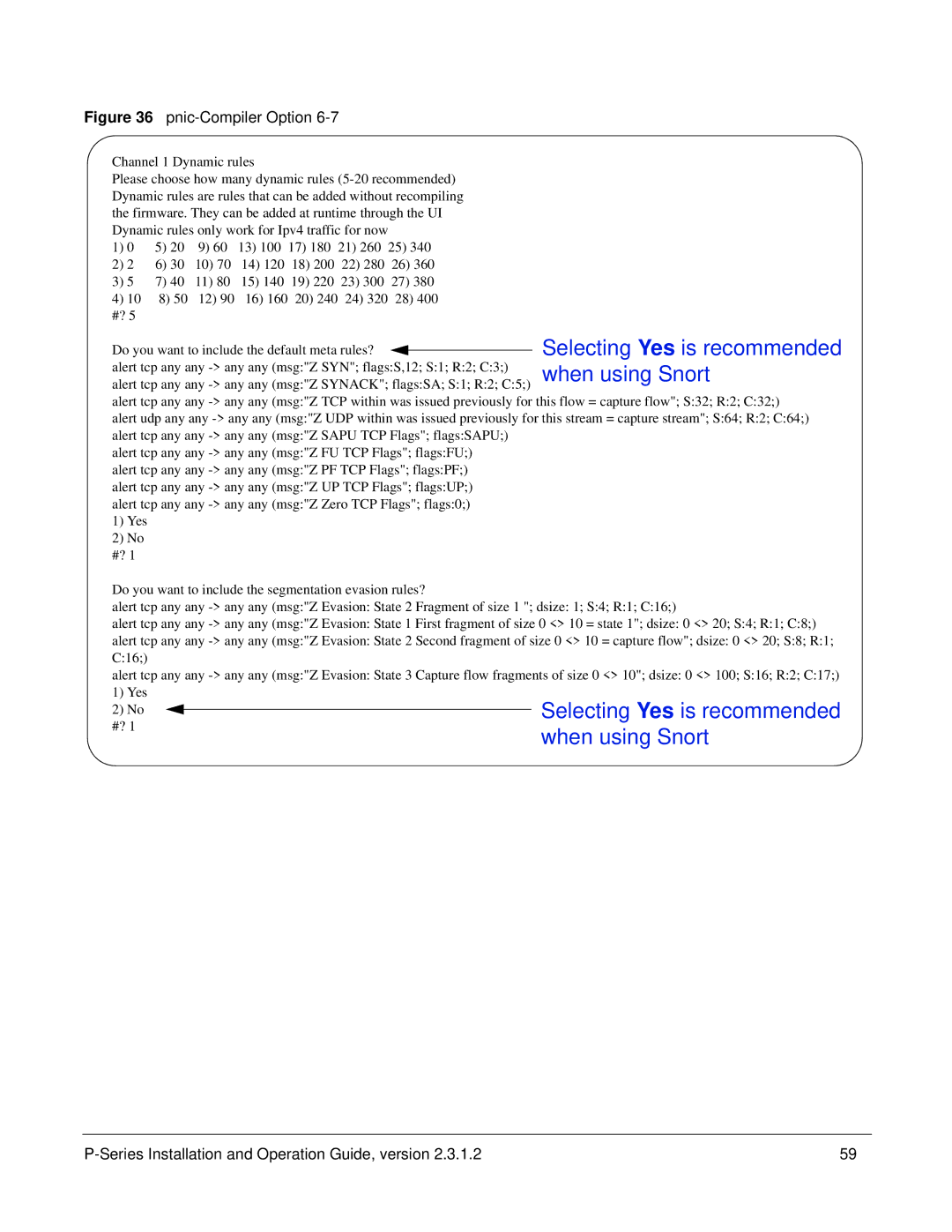 Force10 Networks 100-00055-01 manual Pnic-Compiler Option 