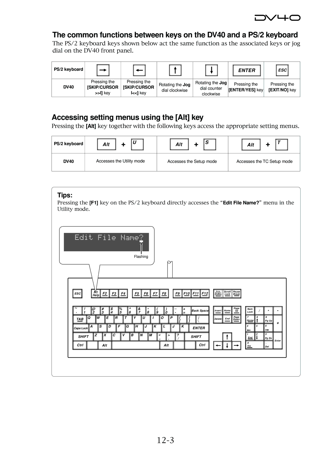 Fostex DV40 manual Accessing setting menus using the Alt key, 12-3, Tips 