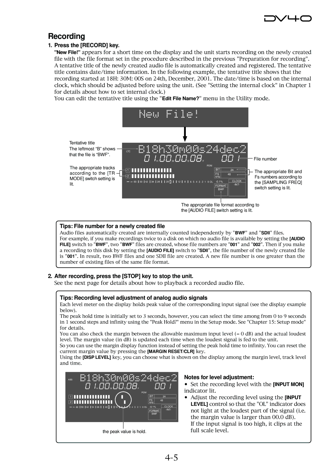 Fostex DV40 manual Recording, Press the Record key, Tips File number for a newly created file 