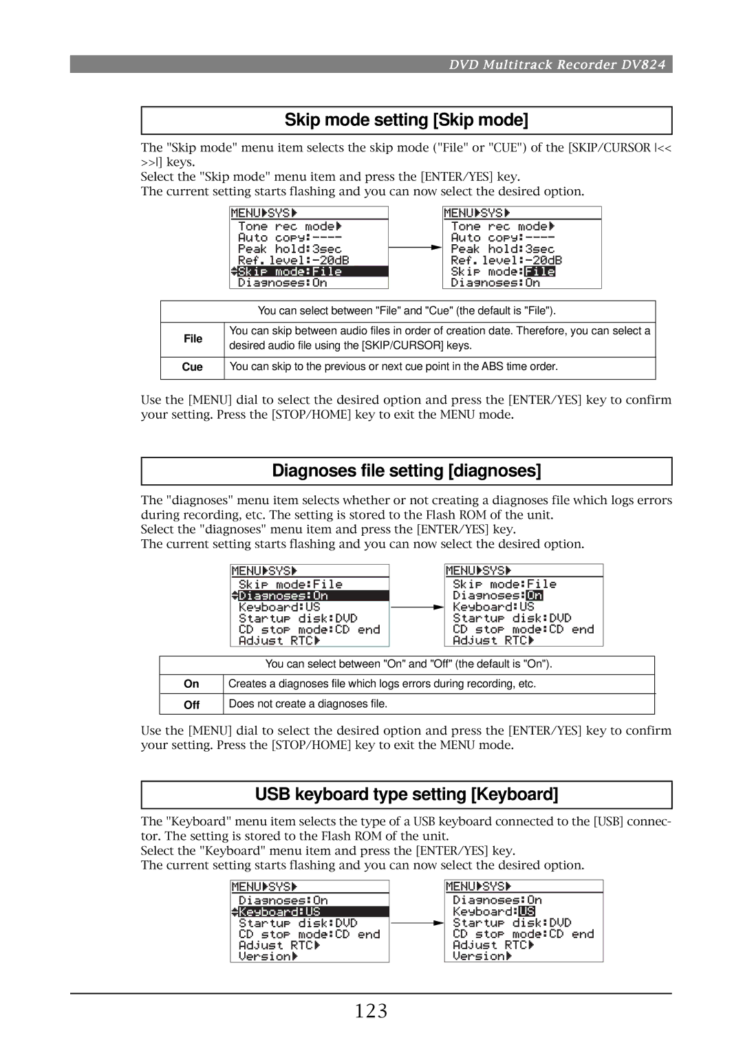 Fostex DV824 Skip mode setting Skip mode, Diagnoses file setting diagnoses, USB keyboard type setting Keyboard, 123 