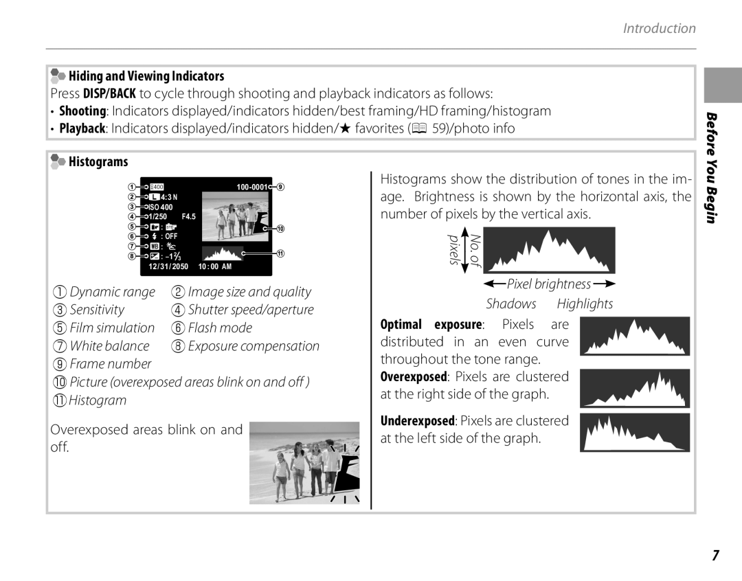 FujiFilm 16286187-4-KIT owner manual Hiding and Viewing Indicators, Histograms, Overexposed areas blink on and off 