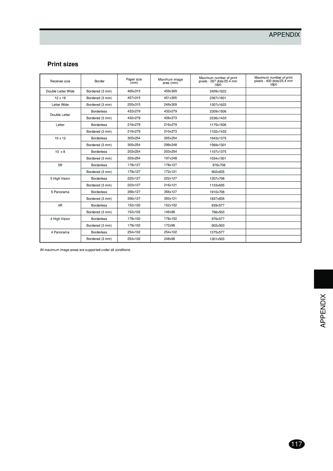 FujiFilm 4500N instruction manual Print sizes 