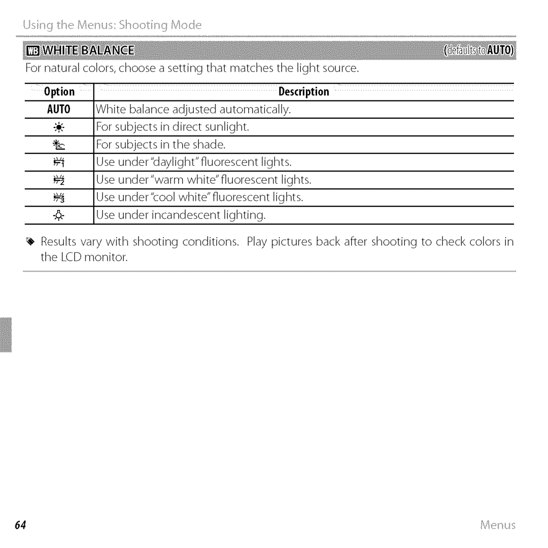 FujiFilm BLO1299-200 owner manual Option Description 