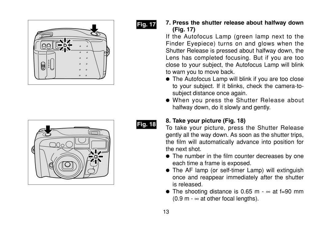 FujiFilm DL-290S owner manual Press the shutter release about halfway down Fig, Take your picture Fig 