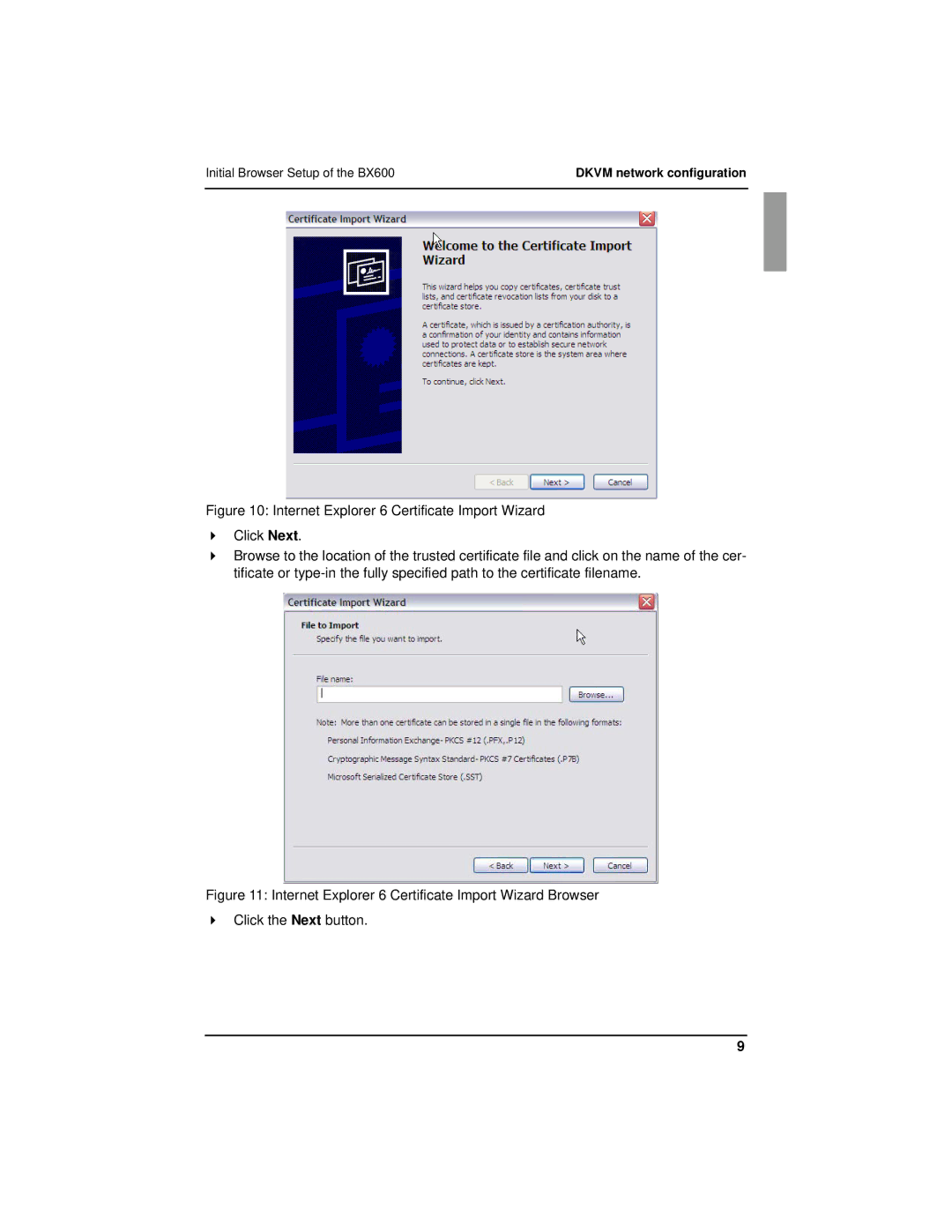 Fujitsu manual Initial Browser Setup of the BX600 