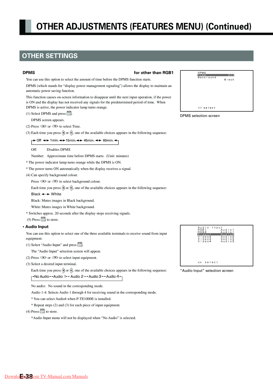 Fujitsu P42VHA20E, P-TE1000E, P-TE1010E, P42HHA10E Other Settings, DPMSfor other than RGB1, Audio Input, Black White 