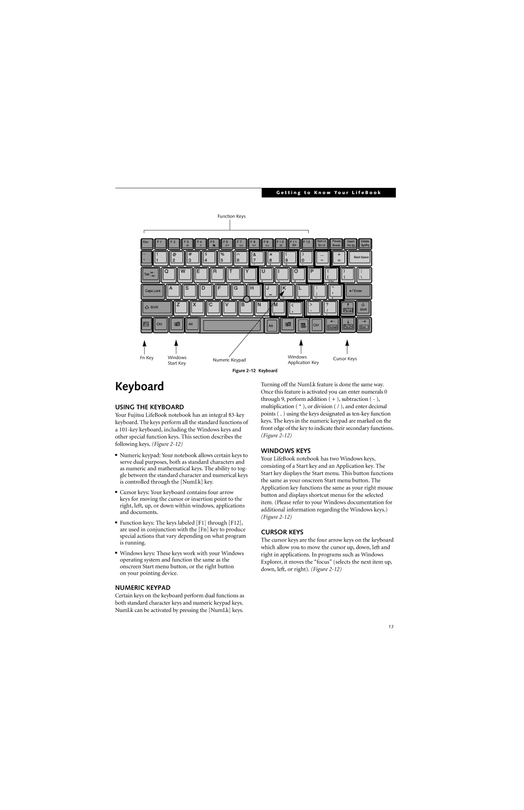 Fujitsu P2000 manual Using the Keyboard, Windows Keys, Cursor Keys, Numeric Keypad 