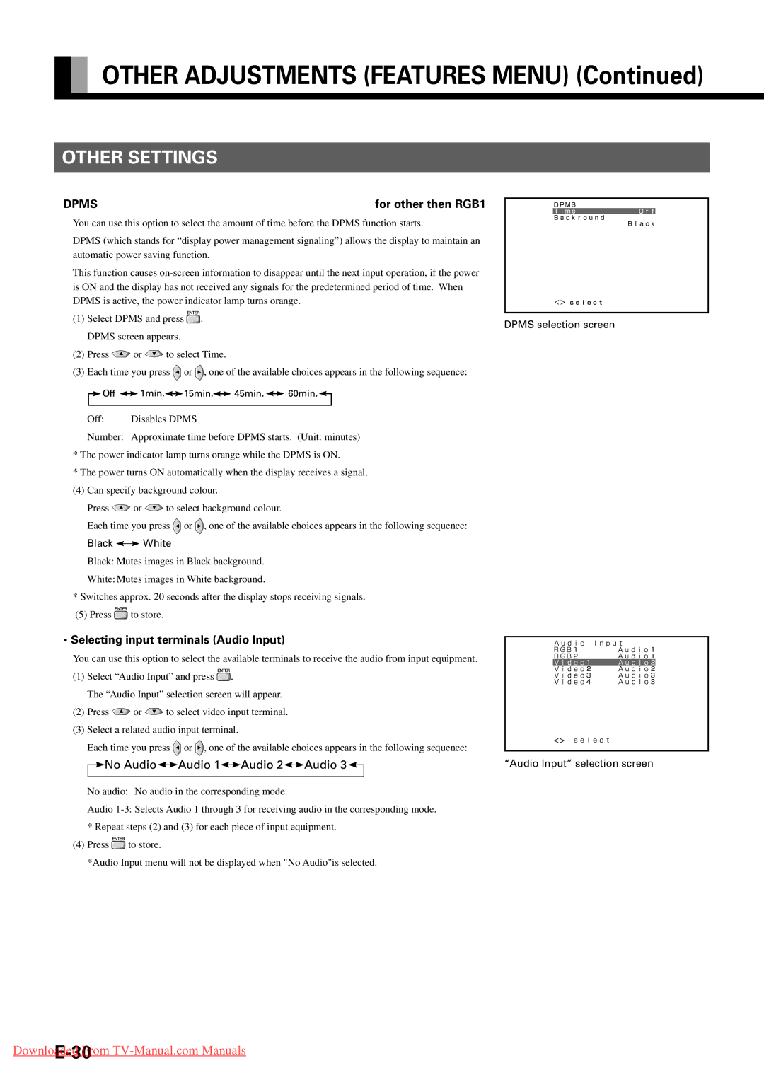 Fujitsu P42VHA30A, P63XHA30W Other Settings, DPMSfor other then RGB1, Selecting input terminals Audio Input, Black White 