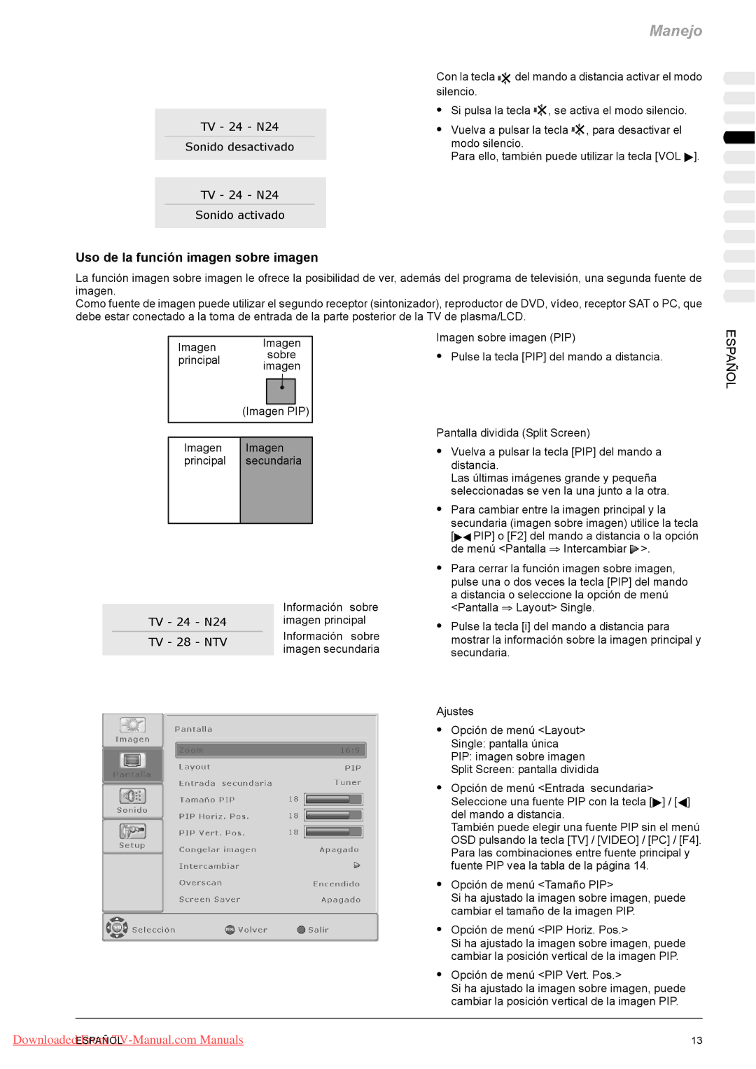 Fujitsu PQ50-1, PQ42-1, VQ40-1 Uso de la función imagen sobre imagen, Imagen PIP, Imagen Principal Secundaria Información 