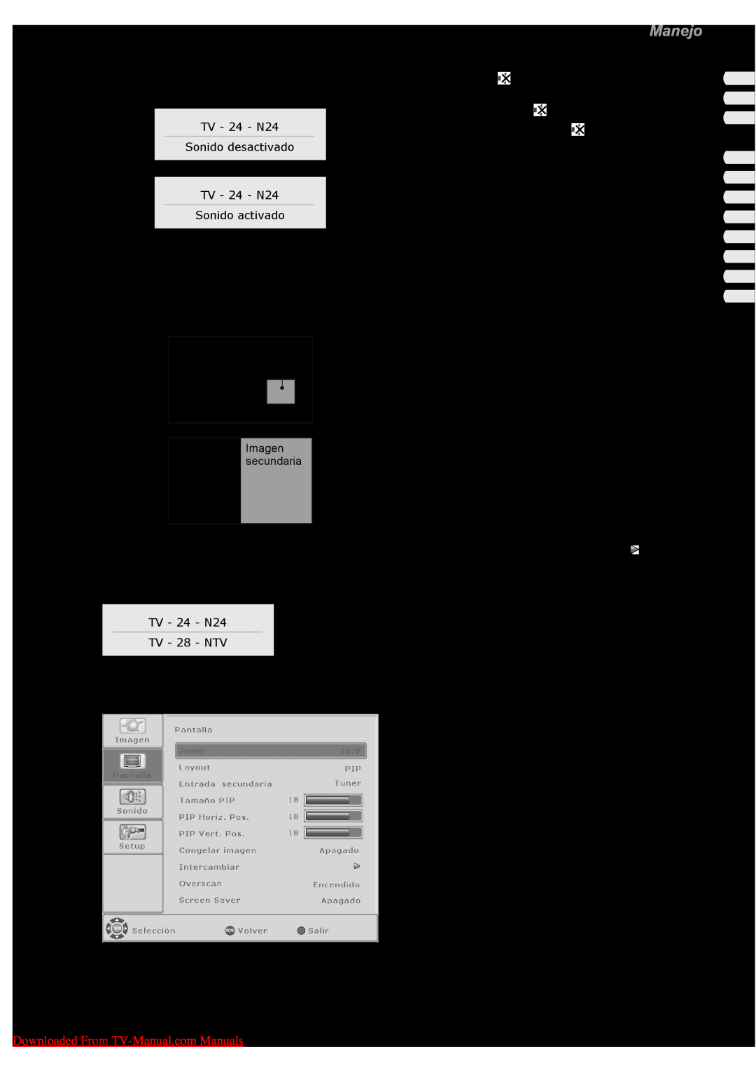 Fujitsu PQ50-1, PQ42-1, VQ40-1 manual Uso de la función imagen sobre imagen, Manejo, Español, TV - 24 - N24 Sonido activado 