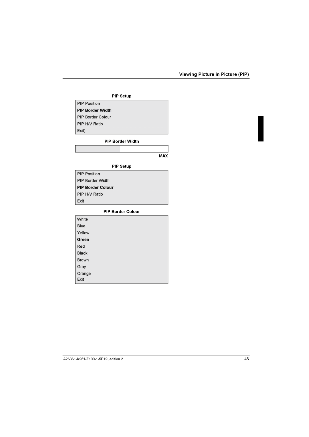 Fujitsu Siemens Computers V17-1 manual PIP Border Width, PIP Border Colour 