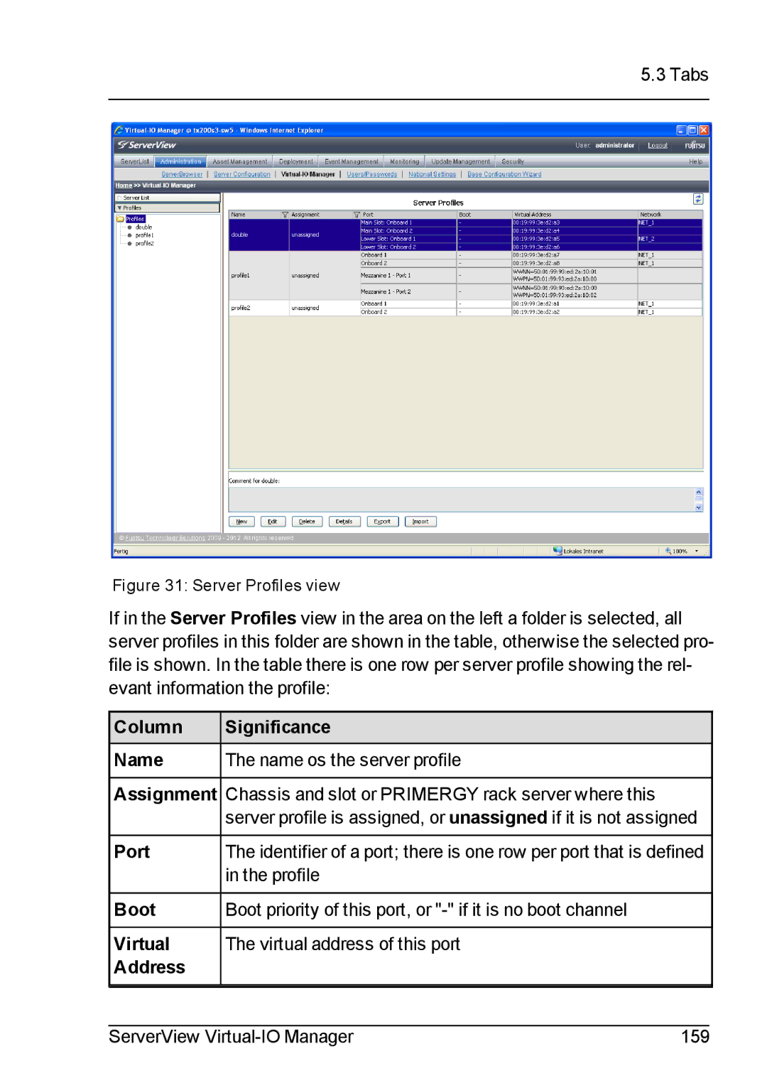 Fujitsu V3.1 manual Column Significance Name, Port, Virtual, Address 