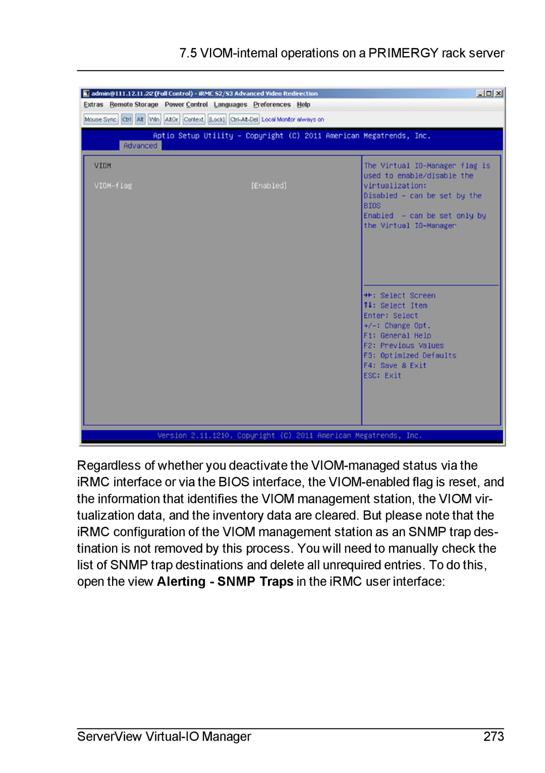 Fujitsu V3.1 manual 