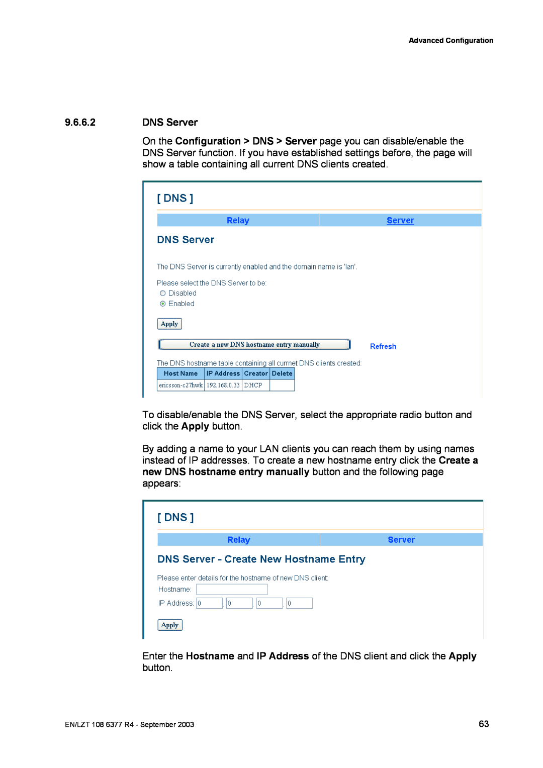 Garmin HN294DP/DI manual DNS Server 