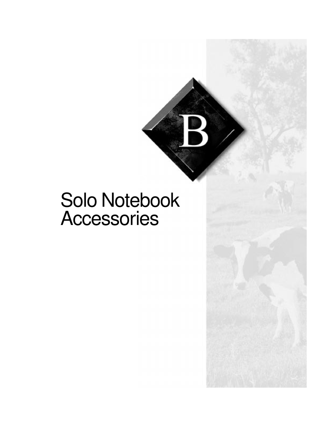 Gateway TM 5150 manual Solo Notebook Accessories 