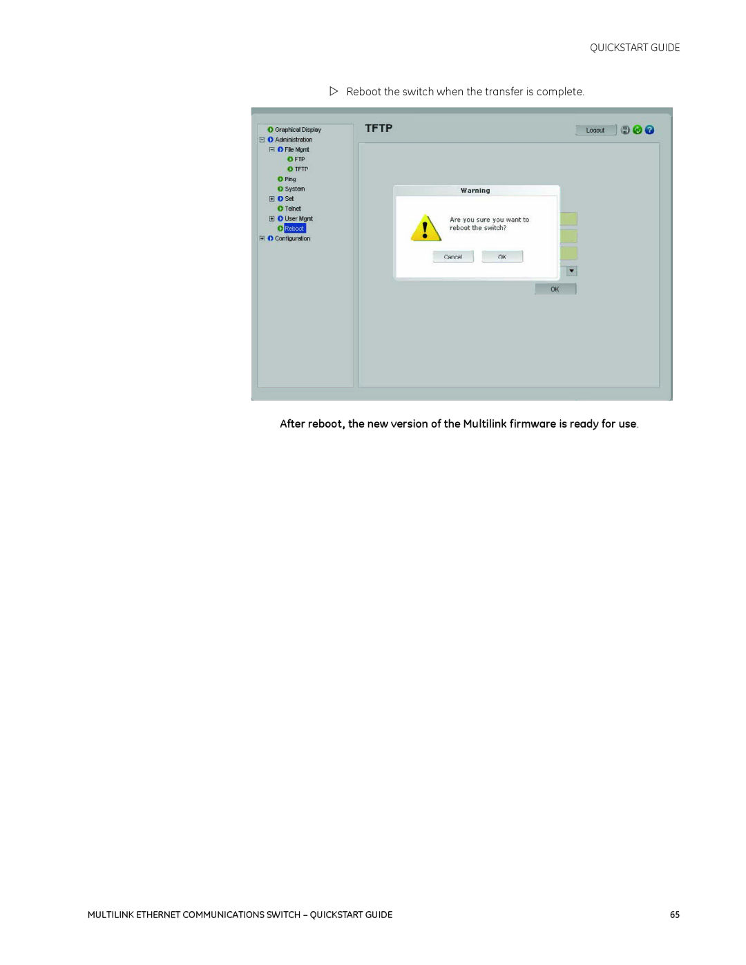 GE 1601-9026-A3 quick start Reboot the switch when the transfer is complete 