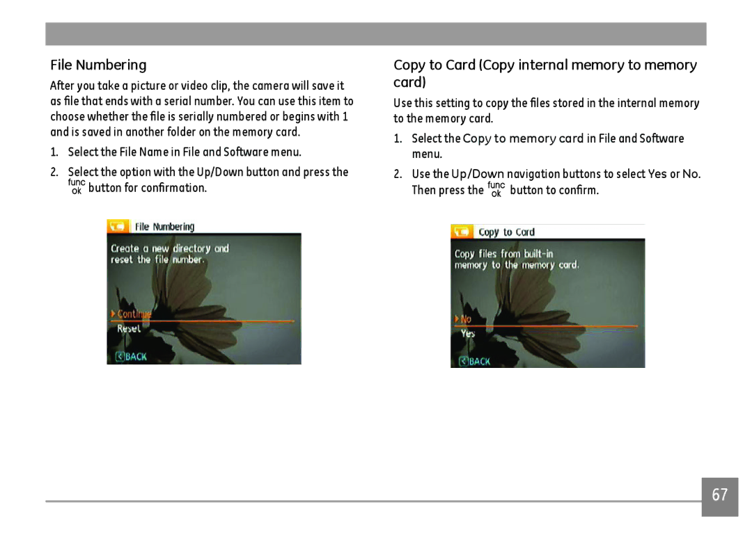 GE A1455-SL, A Series : A1255 user manual File Numbering, Copy to Card Copy internal memory to memory card 