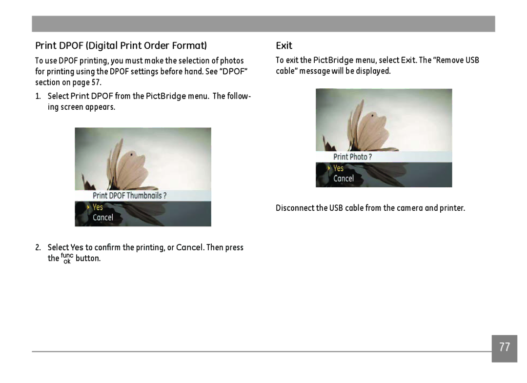 GE A1455-SL, A Series : A1255 user manual Print Dpof Digital Print Order Format, Exit 