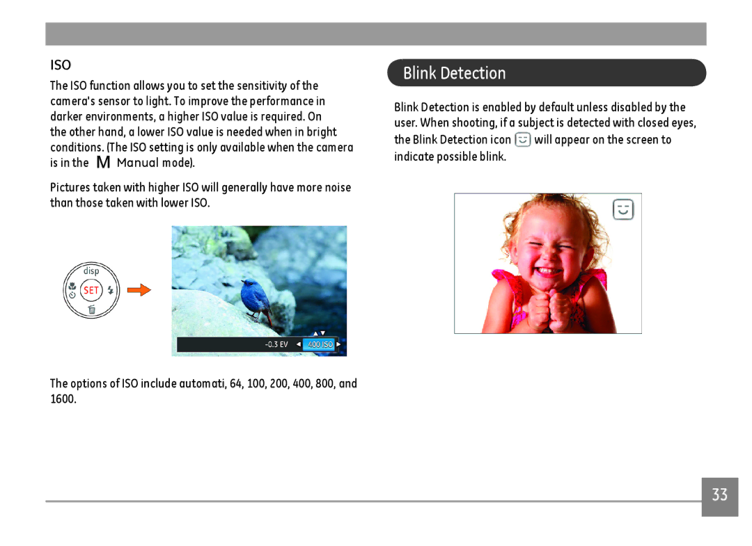 GE C1440WSL, C1440WRD, C1440WBK user manual Blink Detection, Iso 