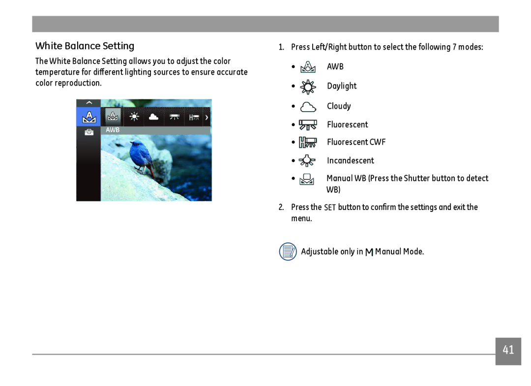 GE C1640W-BK user manual White Balance Setting 