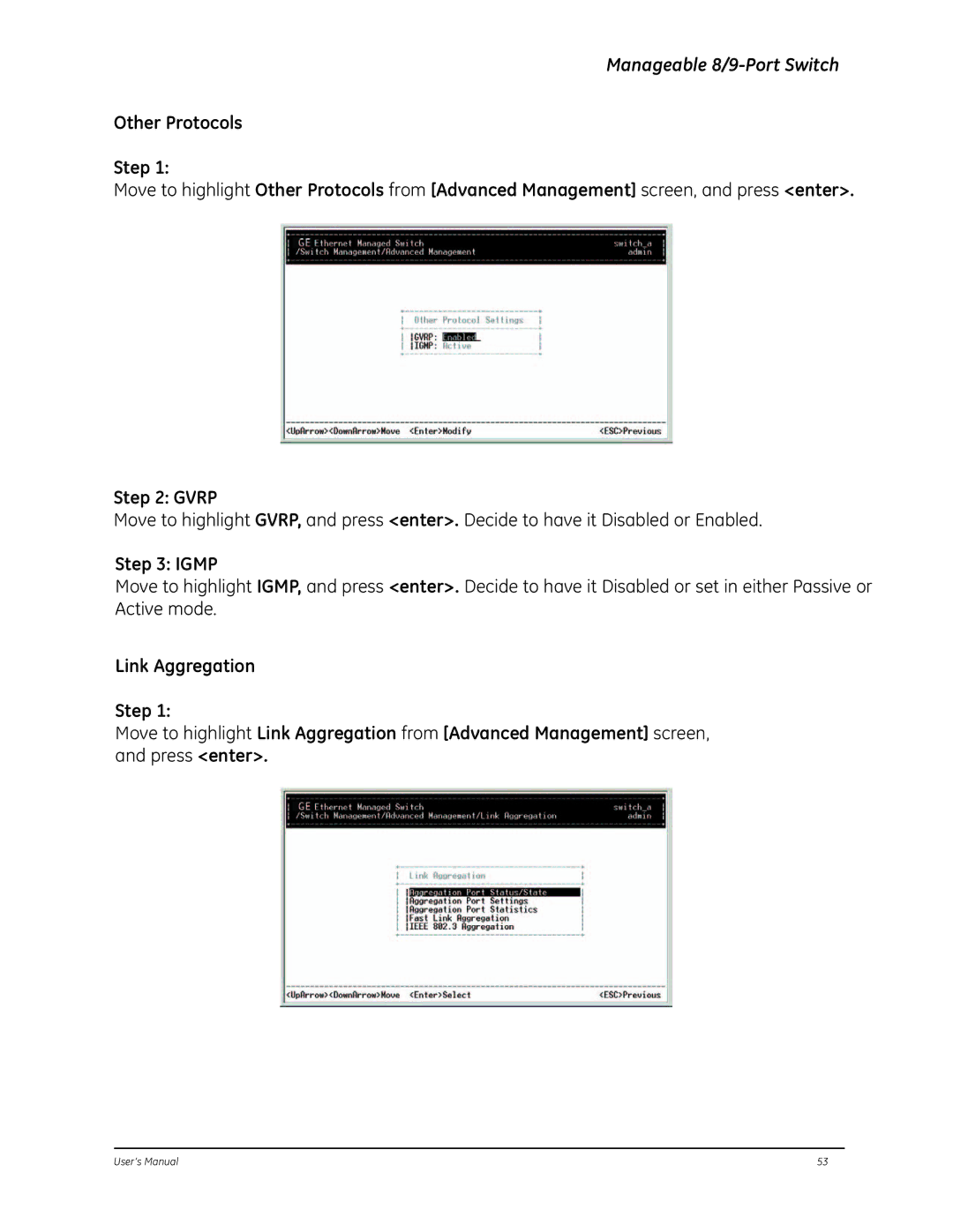 GE D-GES7600 manual Igmp 