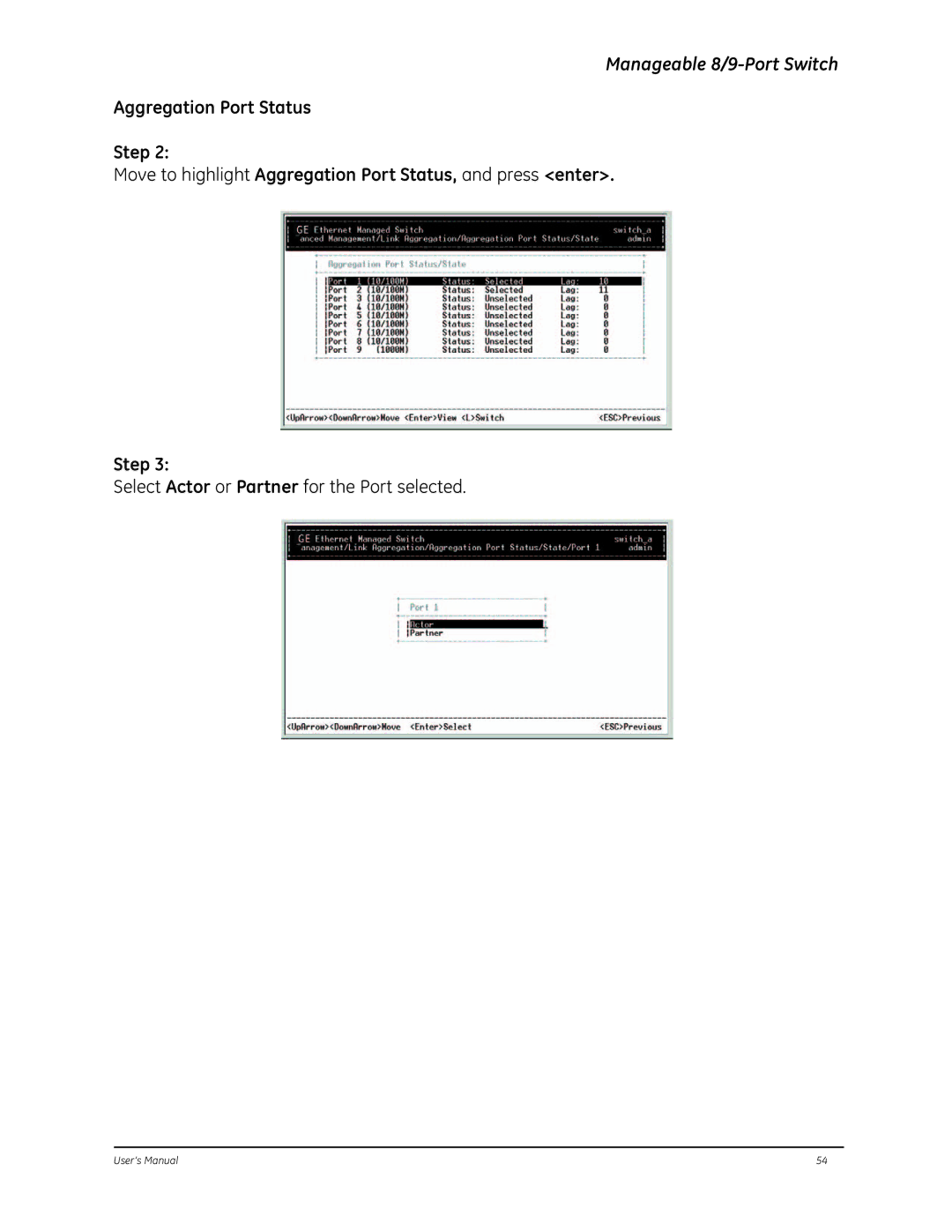 GE D-GES7600 manual Select Actor or Partner for the Port selected 