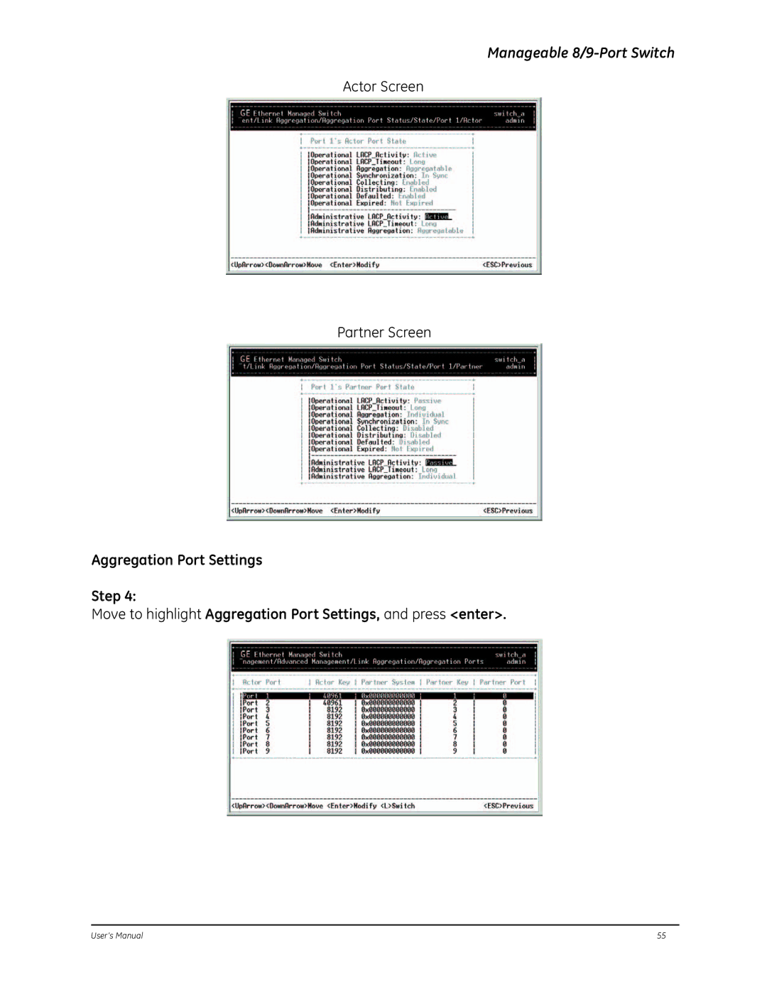 GE D-GES7600 manual Actor Screen Partner Screen 