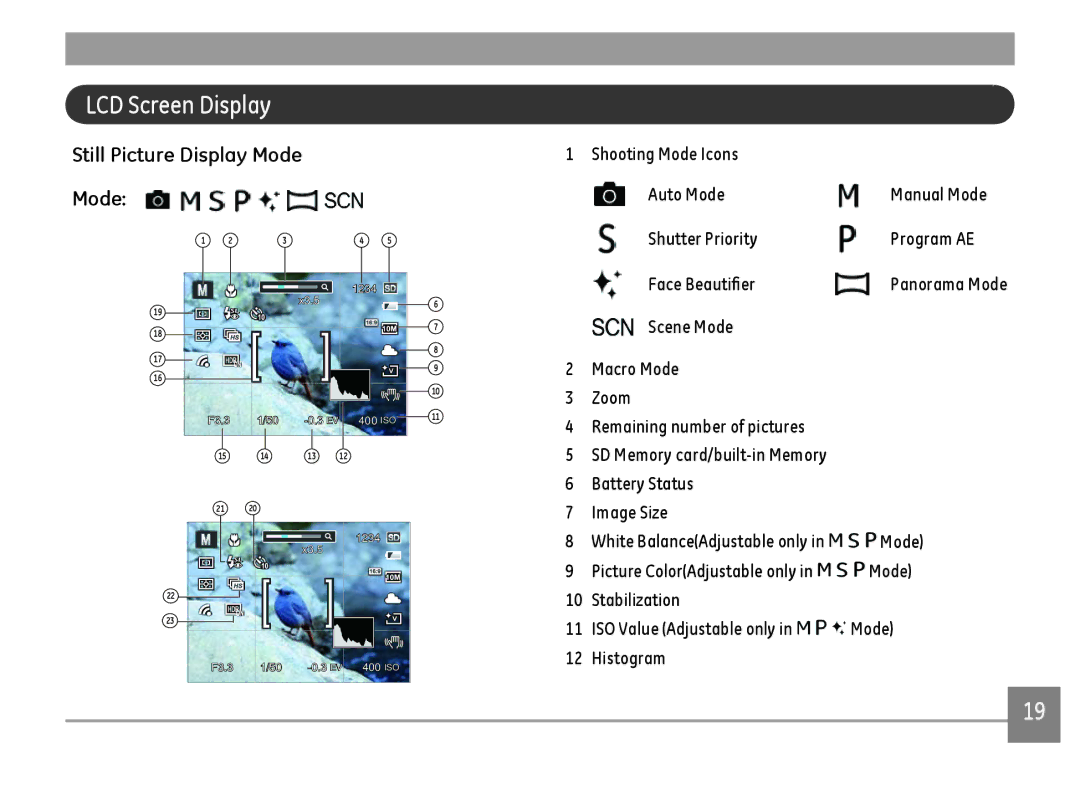 GE G100-RD, G100-BK LCD Screen Display, Still Picture Display Mode, Stabilization ISO Value Adjustable only Mode Histogram 