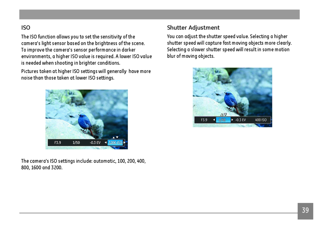 GE G100-BK, G100-RD, G100-WH user manual Iso, Shutter Adjustment 