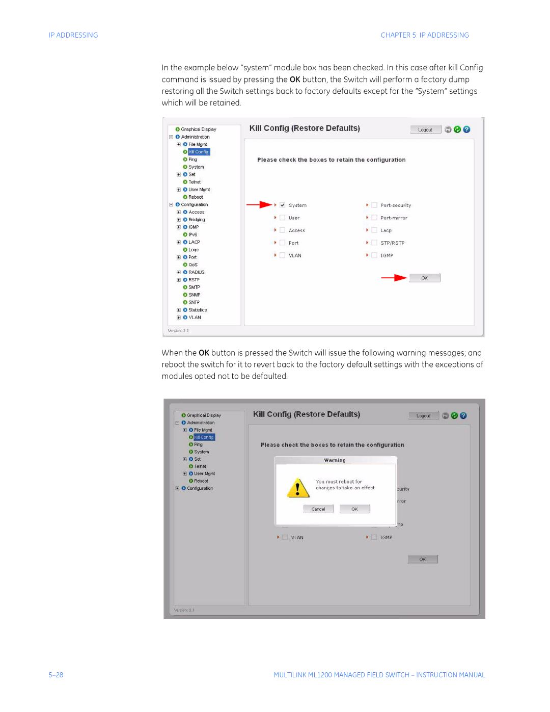 GE ML1200 instruction manual IP Addressing 