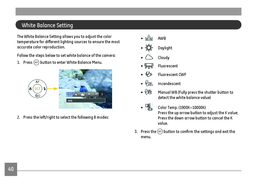 GE DSC-X600-BK-US-1 user manual White Balance Setting, Detect the white balance value 