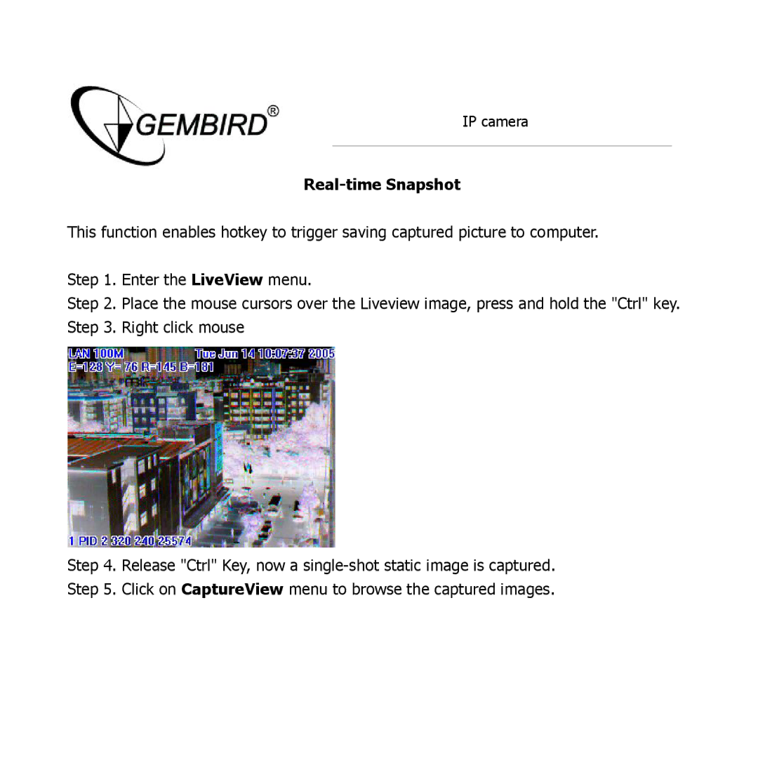 Gembird CAM77IP manual Real-time Snapshot 