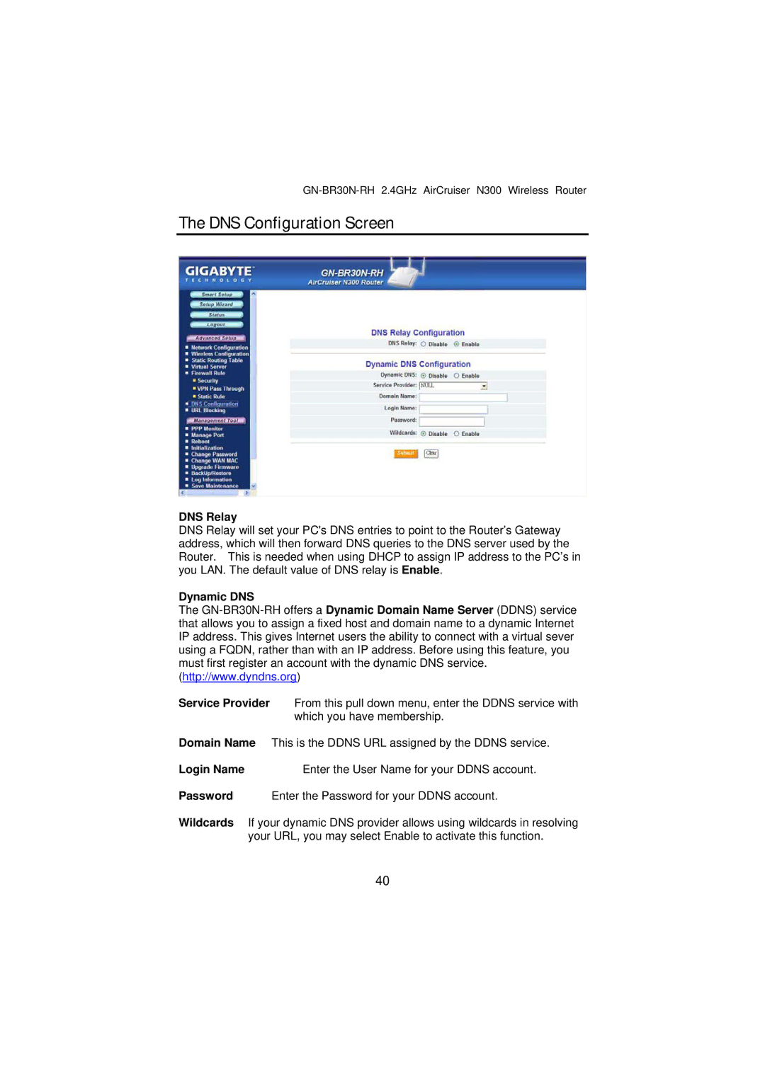 Gigabyte GN-BR30N-RH manual DNS Configuration Screen, DNS Relay, Dynamic DNS 